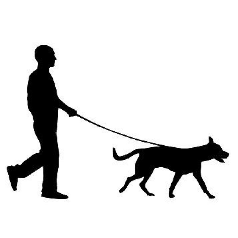 Dog Walking Service (Glasgow Green / Gorbals / Bridgeton area)