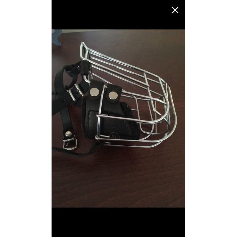 Premium handmade Dog Collar