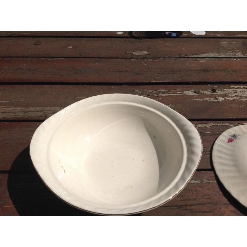 Rose design plates