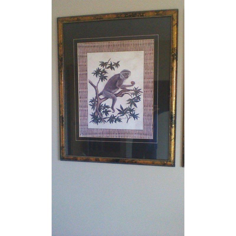 Dianne Krumel Art