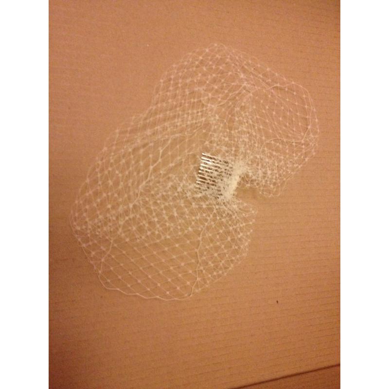 Wedding Veil