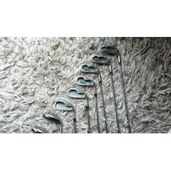 Hippo Golf Clubs