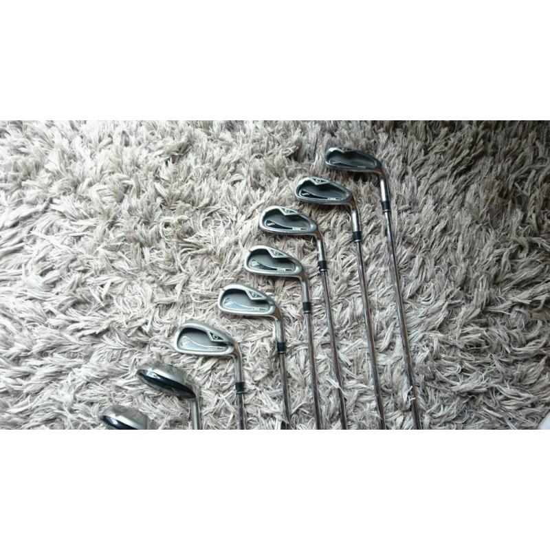Hippo Golf Clubs