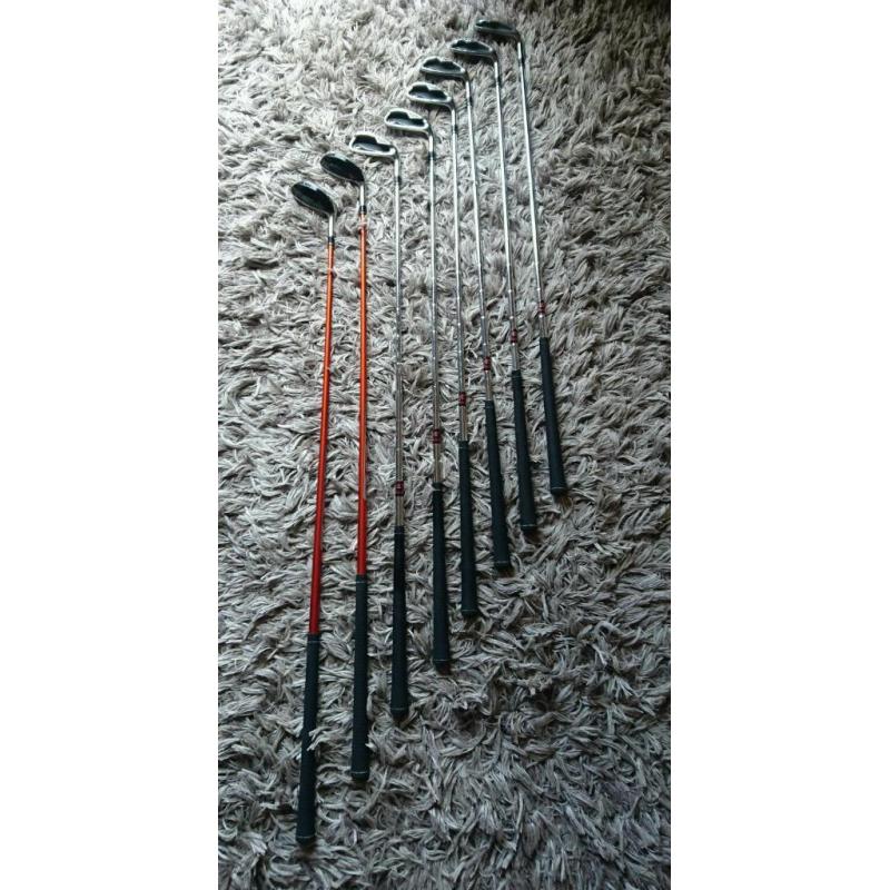 Hippo Golf Clubs
