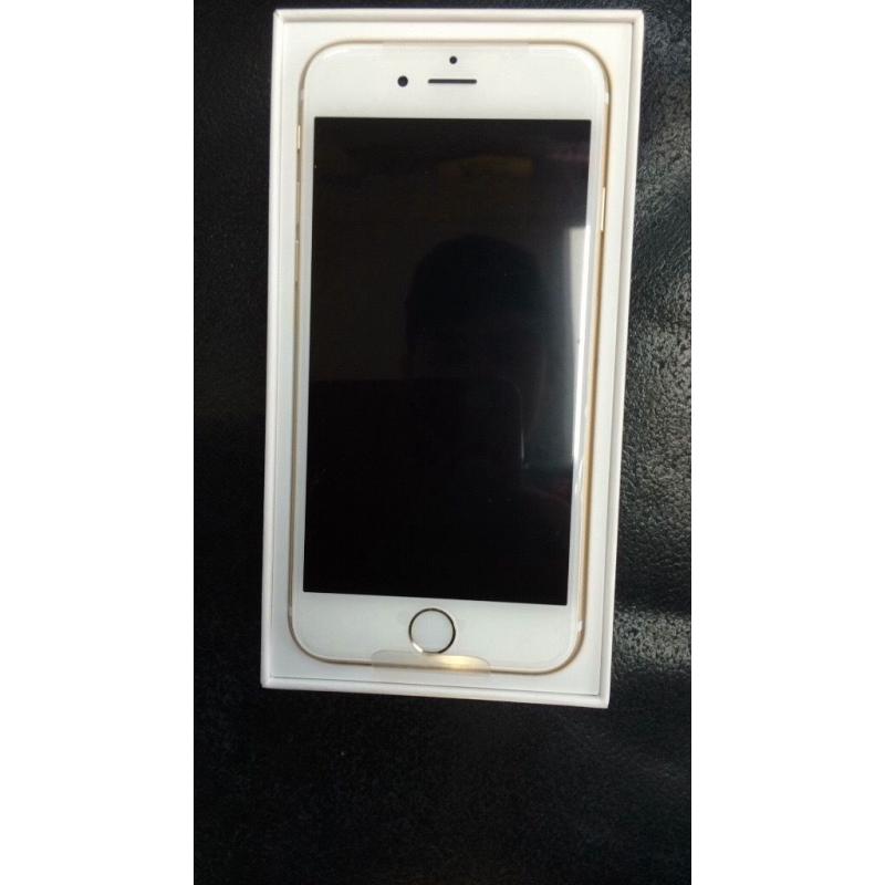 iPhone 6 Gold Unlocked Brand New Condition