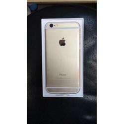 iPhone 6 Gold Unlocked Brand New Condition
