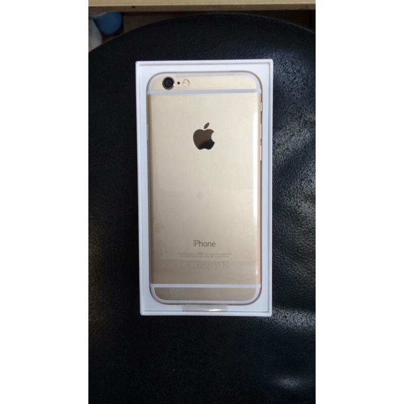 iPhone 6 Gold Unlocked Brand New Condition