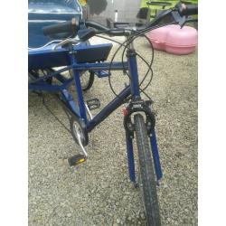rickshaw vintage cab
