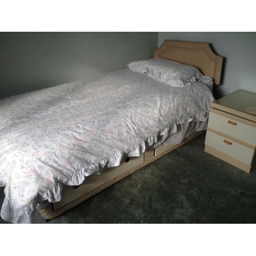 Two single divan beds & headboards & matresses
