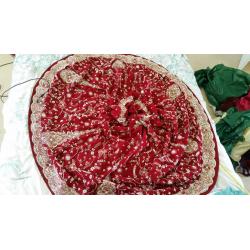 Stunning Indian Bridal Lengha