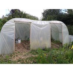 Polytunnel frames x 2 - each 2.5m x 3.6m (8ft x 12ft)
