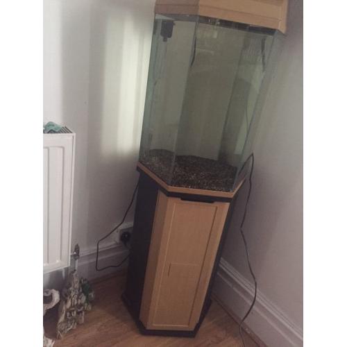 Beautiful brand new condition Hexagon 70 l fish tank