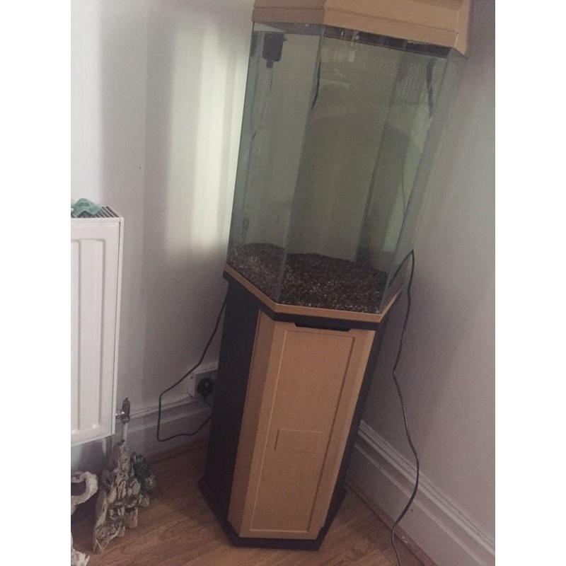 Beautiful brand new condition Hexagon 70 l fish tank