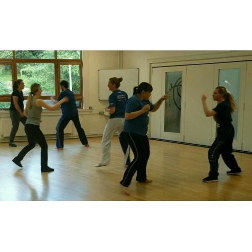 Lau Gar Kung Fu & Kickboxing