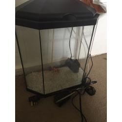 Fish tank