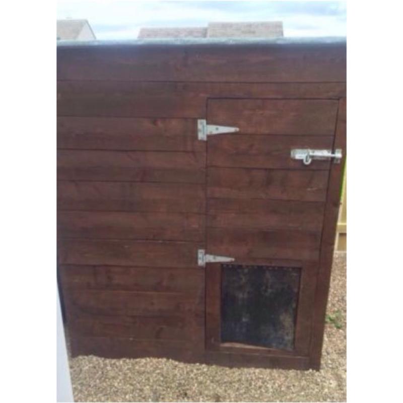 Large dogs house
