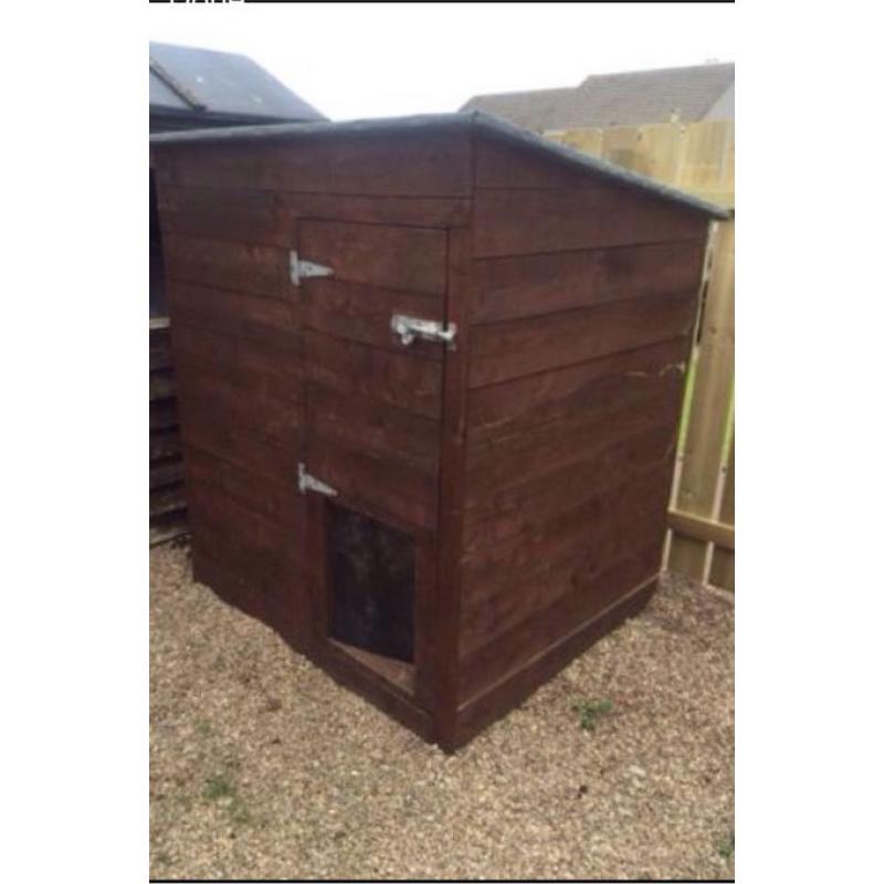 Large dogs house