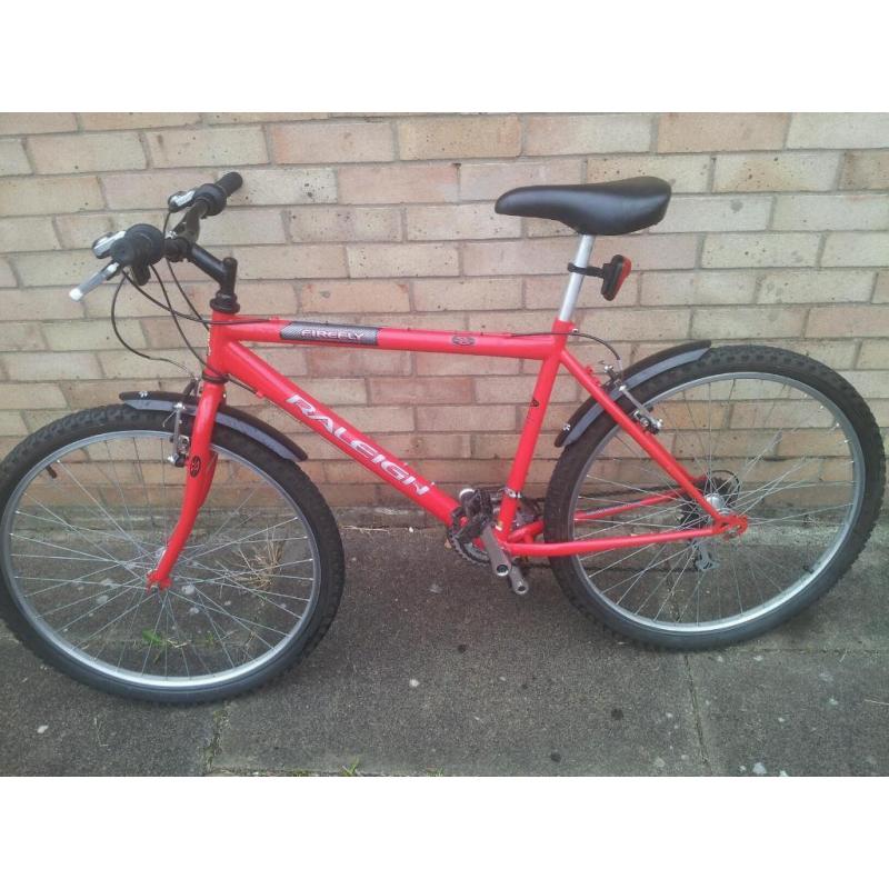 Raleigh firefly