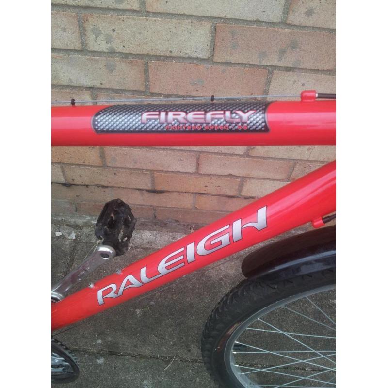 Raleigh firefly