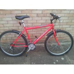 Raleigh firefly