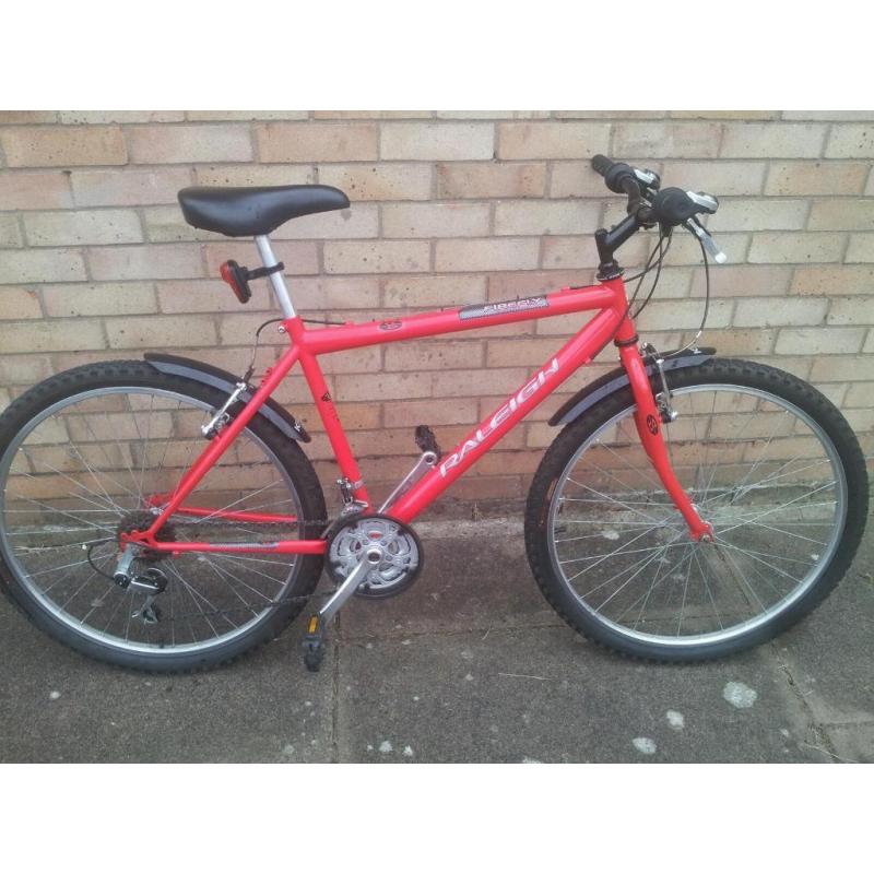 Raleigh firefly