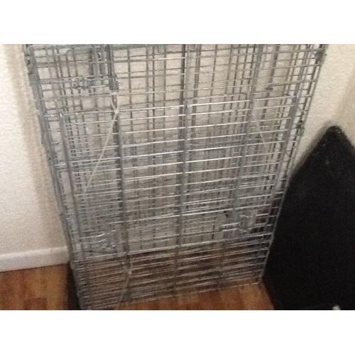 Large dog crate