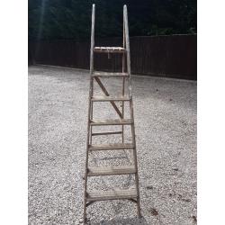 Youngmans Challenger vintage ladder plus wooden ladder