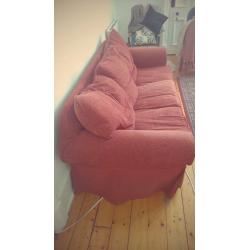 free duck feather red sofa pick up only