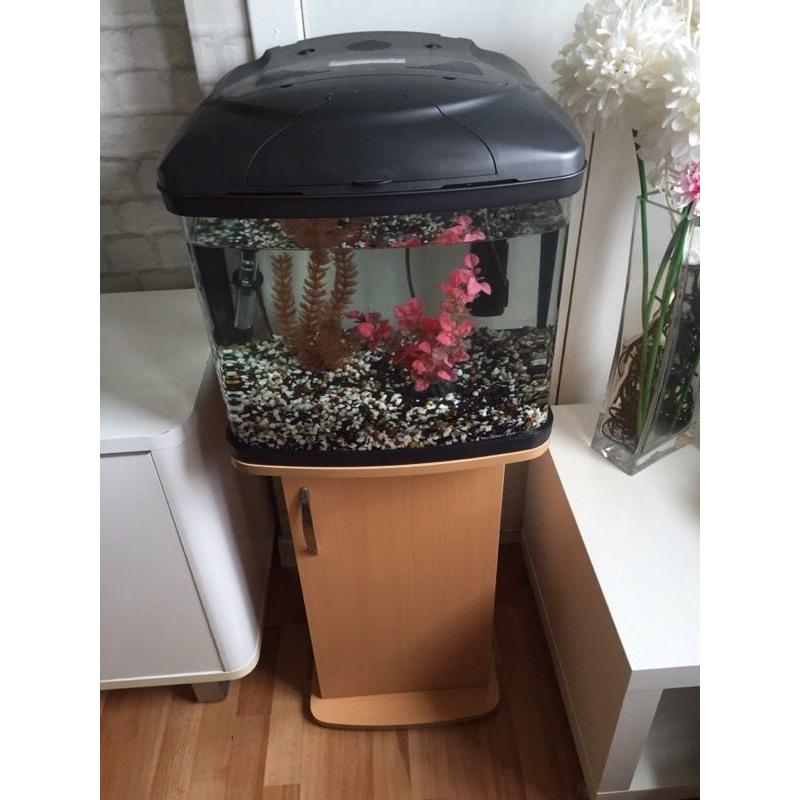 48Ltr fish box fish tank with stand and accessories