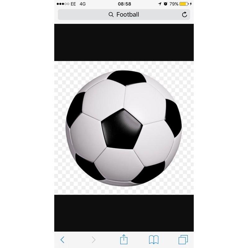7 or 11 side football