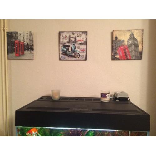 Canvases