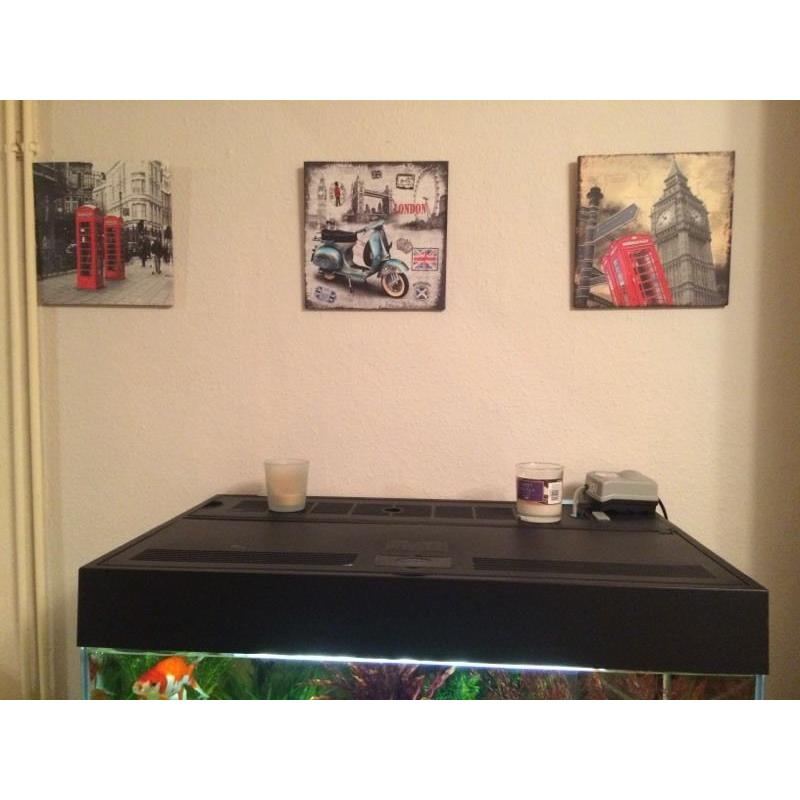 Canvases