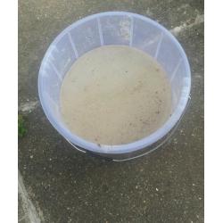 White silica sand & ocean Rock for Sale