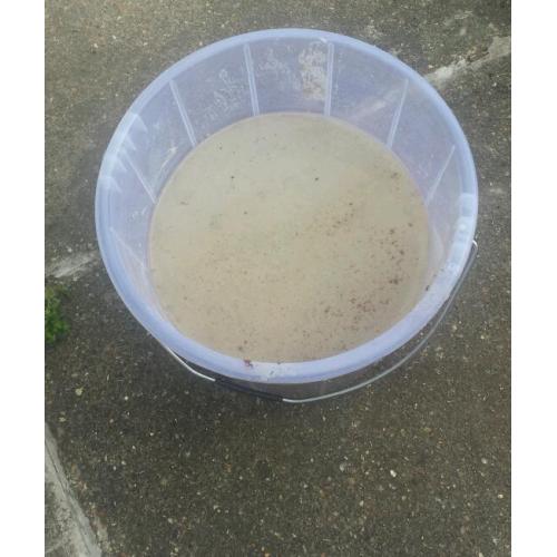 White silica sand & ocean Rock for Sale