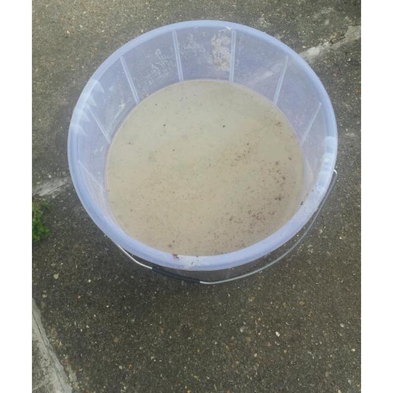White silica sand & ocean Rock for Sale