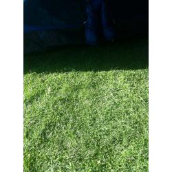 5 man tent