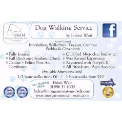 Trusted Reliable Professional Dog Walker & Pet Sitter available