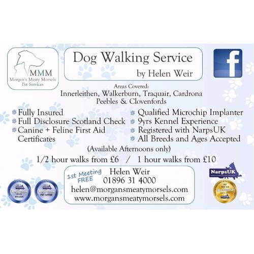 Trusted Reliable Professional Dog Walker & Pet Sitter available