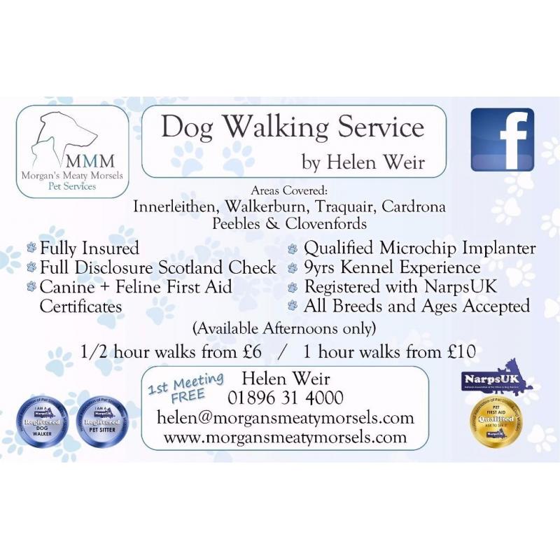 Trusted Reliable Professional Dog Walker & Pet Sitter available
