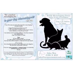 Trusted Reliable Professional Dog Walker & Pet Sitter available