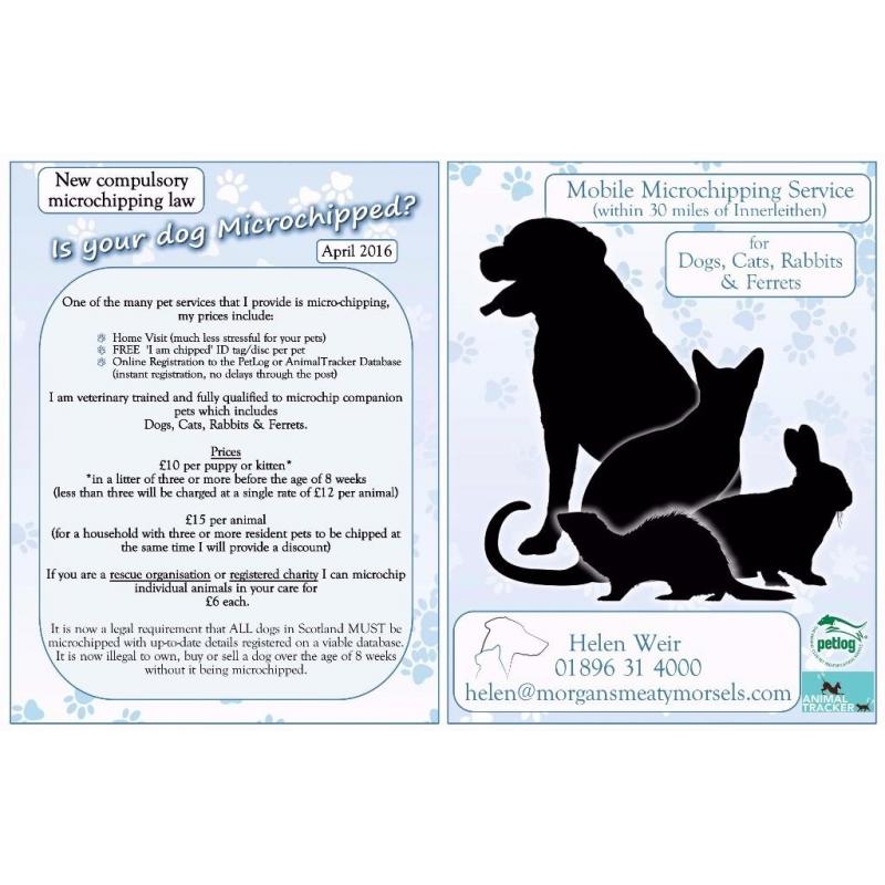 Trusted Reliable Professional Dog Walker & Pet Sitter available