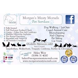 Trusted Reliable Professional Dog Walker & Pet Sitter available