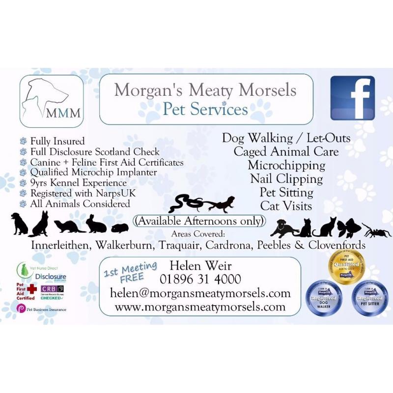 Trusted Reliable Professional Dog Walker & Pet Sitter available
