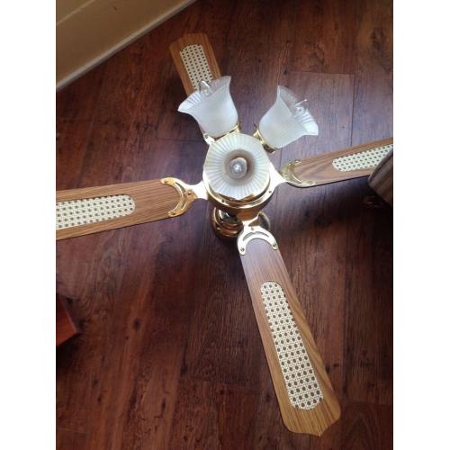Ceiling fan light
