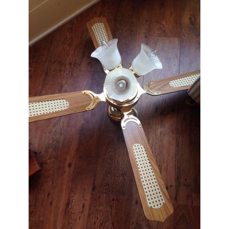 Ceiling fan light