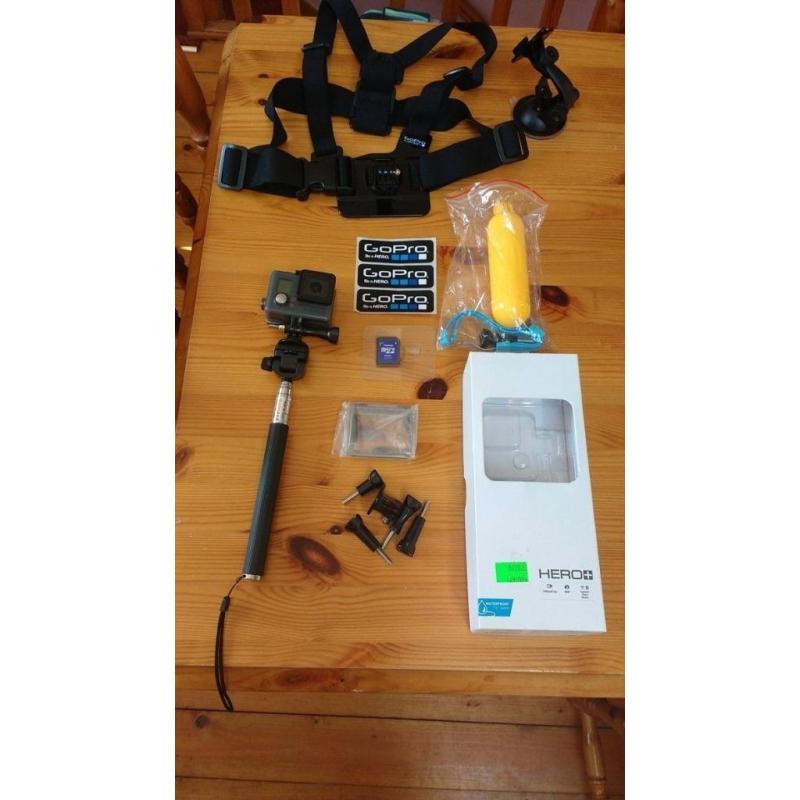 Go Pro Hero+