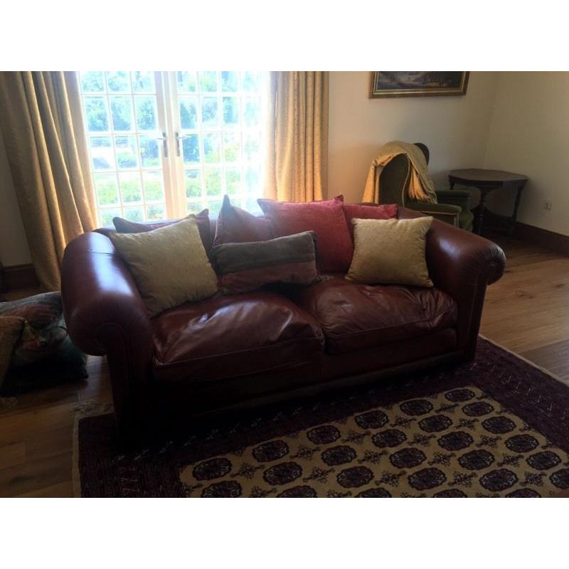 Large soda suite