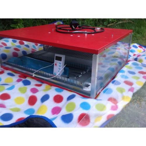 77 egg incubator