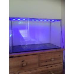 Fish tank