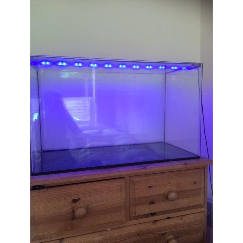 Fish tank